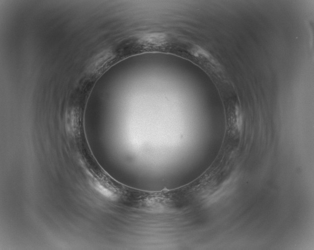 X0000053020468200507081330