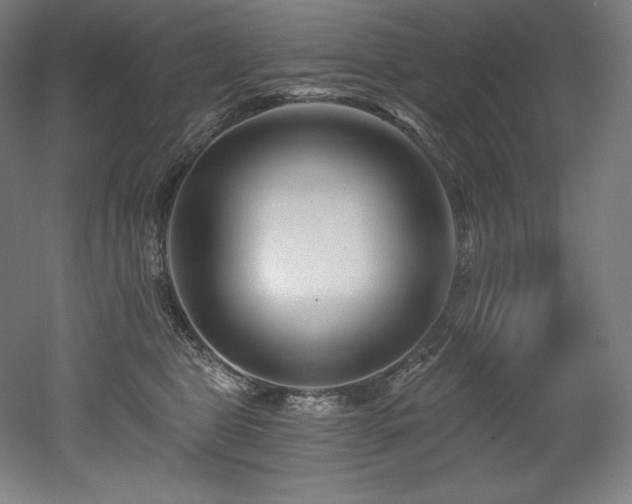 X0000053020469200507081330
