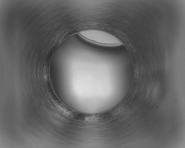 X0000053020470200507081330