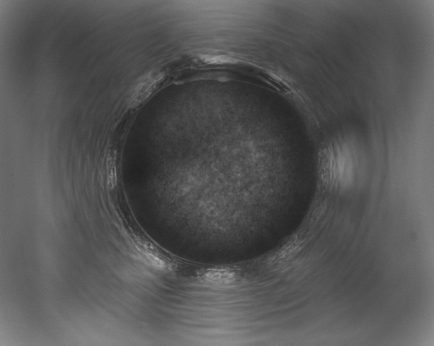 X0000053020471200507081330