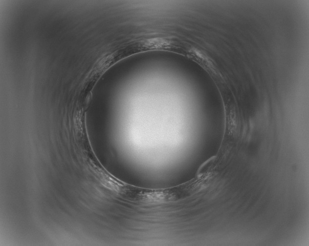 X0000053020473200507081331