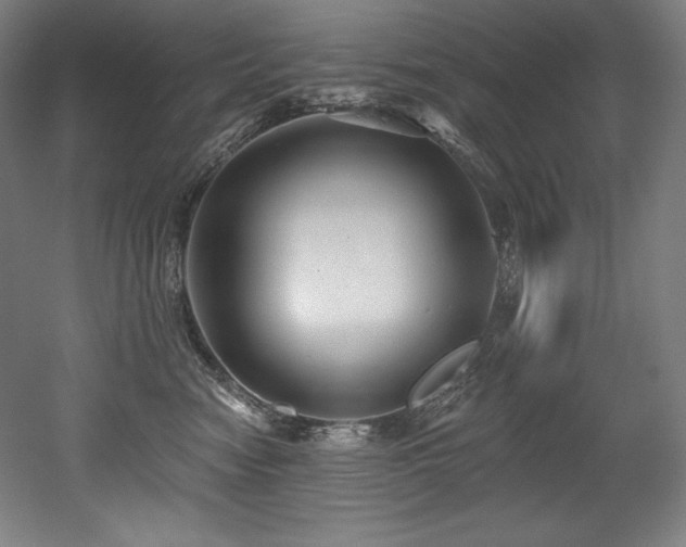 X0000053020474200507081331