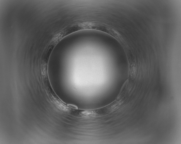 X0000053020477200507081331