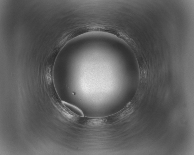 X0000053020479200507081331