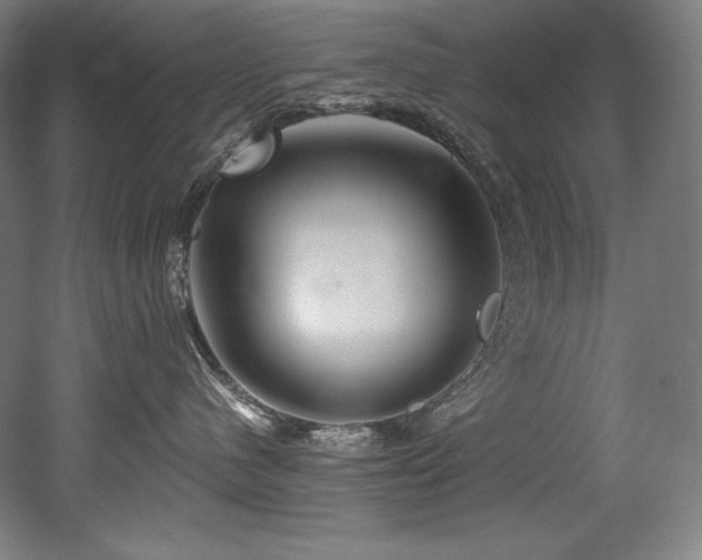 X0000053020480200507081331