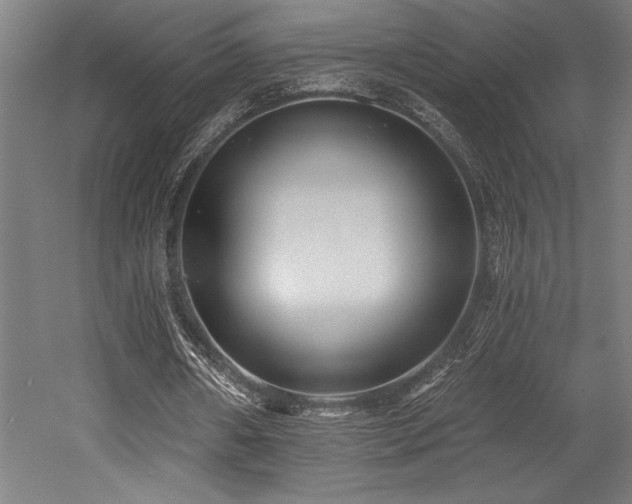 X0000053020482200507081330