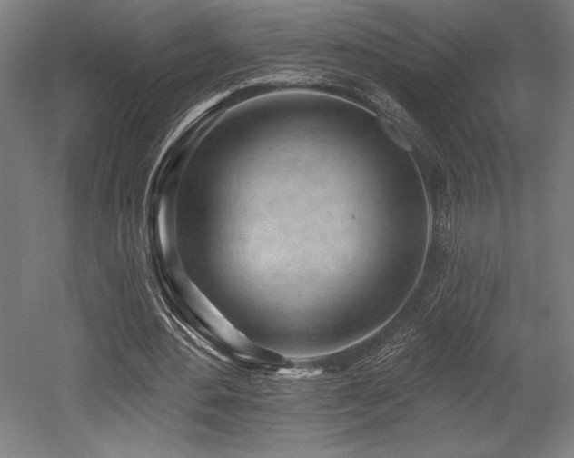 X0000053020484200507081330