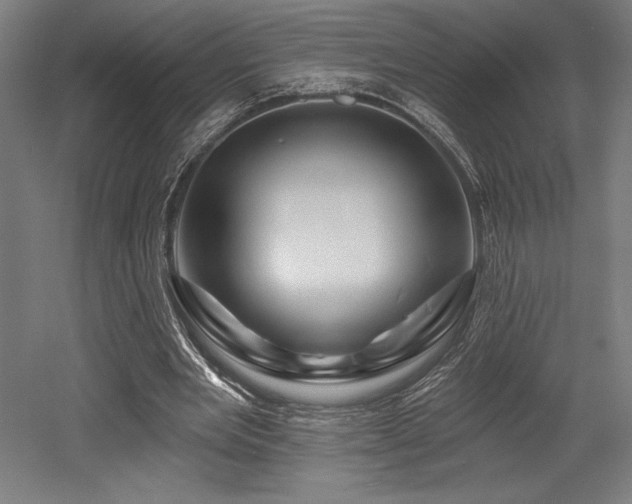 X0000053020485200507081330