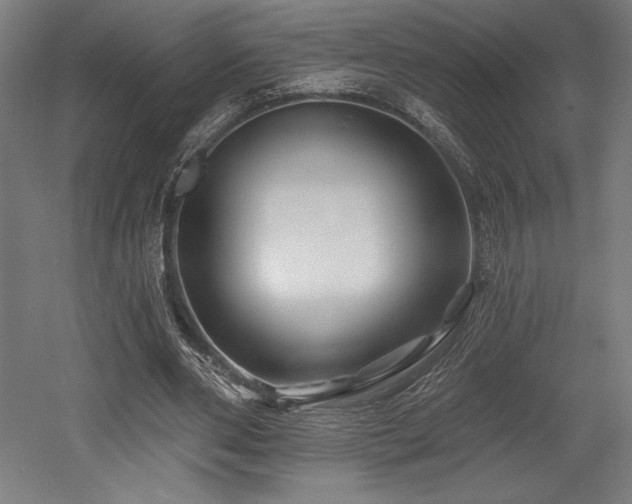 X0000053020486200507081330
