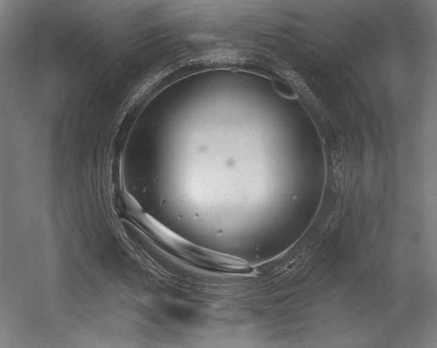 X0000053020487200507081330