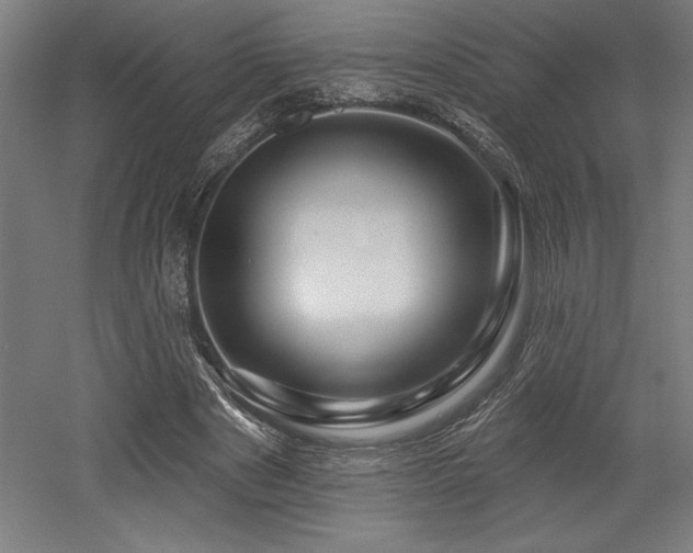 X0000053020489200507081330