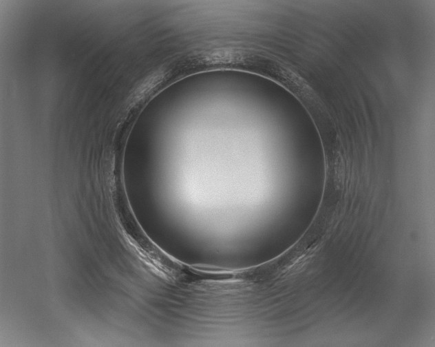 X0000053020490200507081330