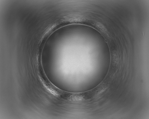 X0000053020491200507081330