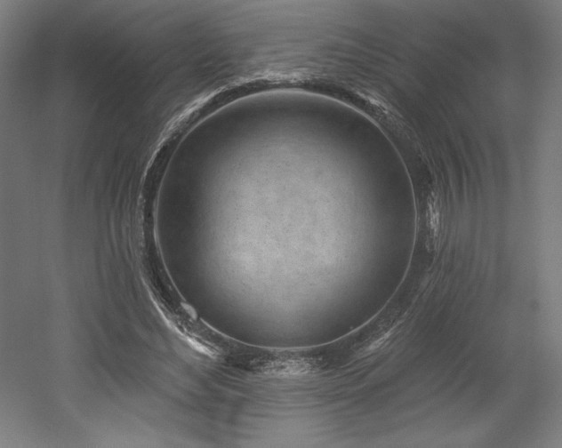 X0000053020492200507081330