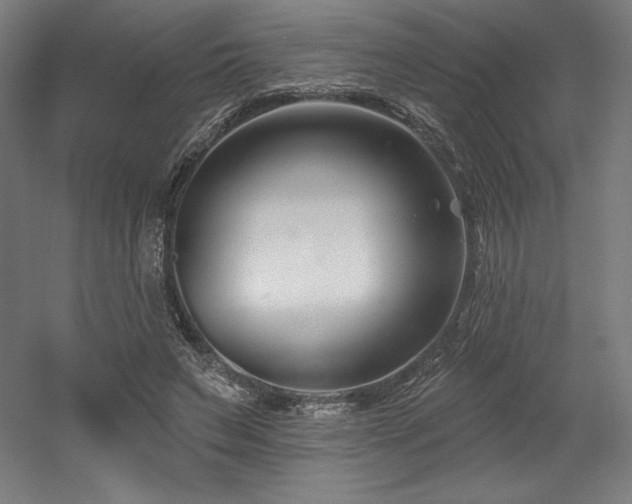 X0000053020495200507081330