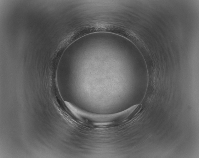 X0000053020496200507081330