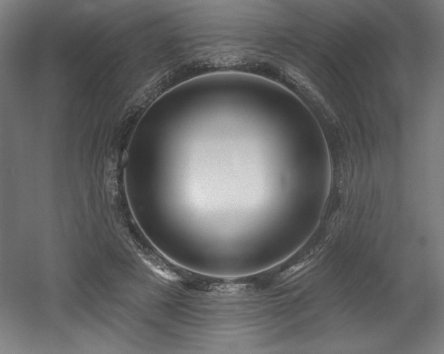 X0000053020497200507081330