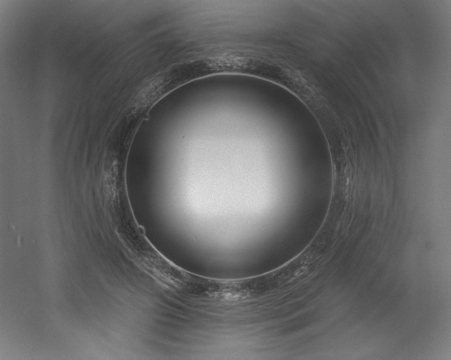 X0000053020498200507081330
