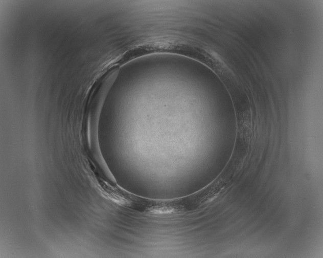 X0000053020500200507081329
