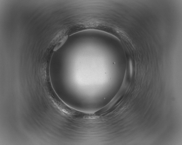 X0000053020501200507081329