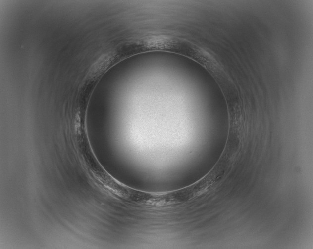 X0000053020502200507081329
