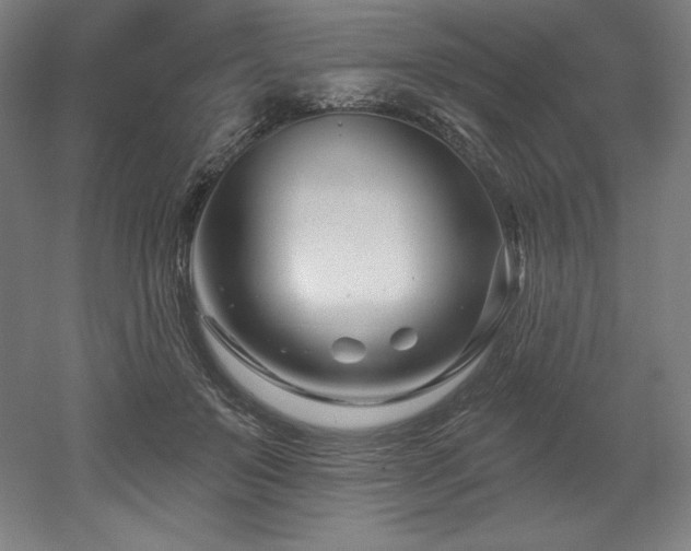 X0000053020503200507081329