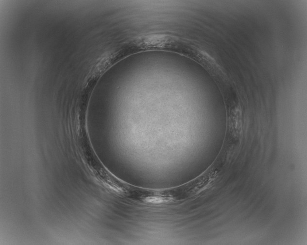 X0000053020504200507081329
