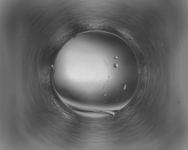 X0000053020505200507081329