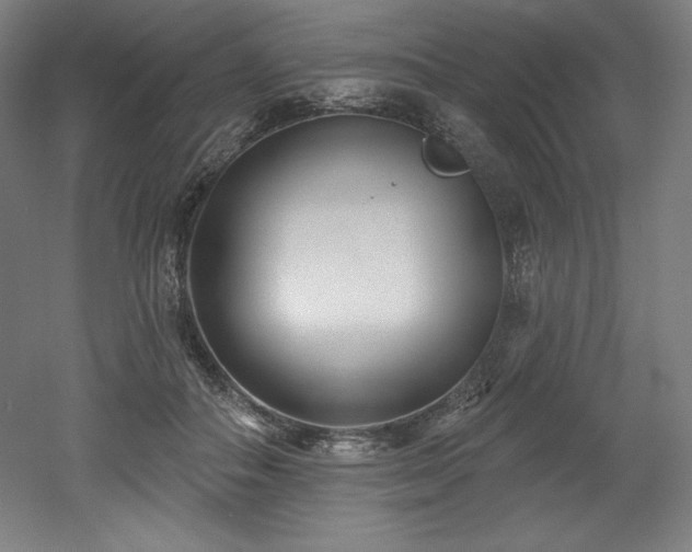 X0000053020506200507081329