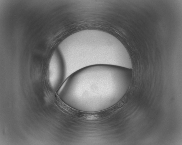 X0000053020507200507081329