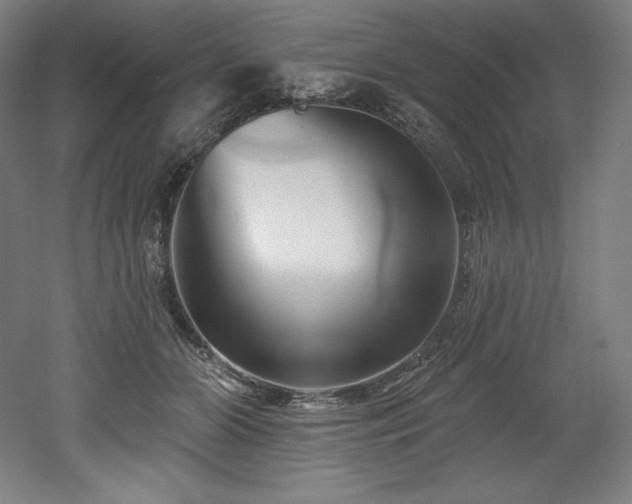 X0000053020510200507081329