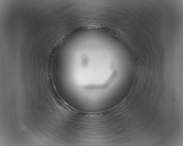X0000053020512200507081329