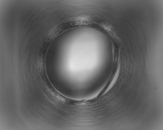 X0000053020513200507081329