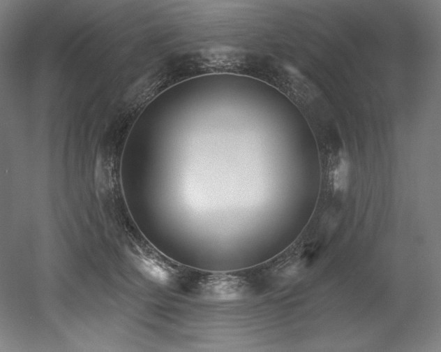 X0000053020514200507081329