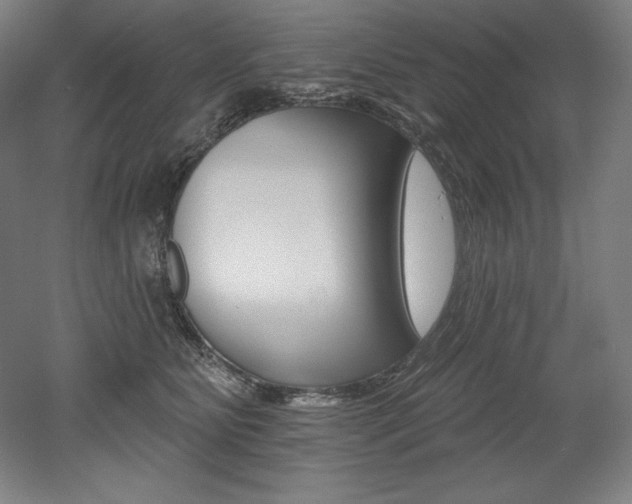 X0000053020515200507081329