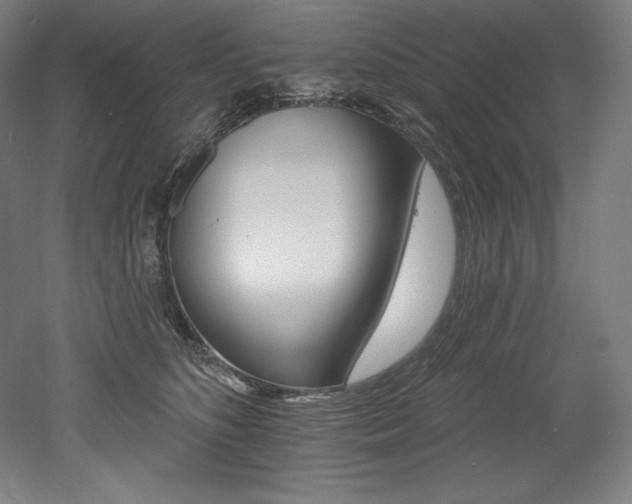 X0000053020516200507081329
