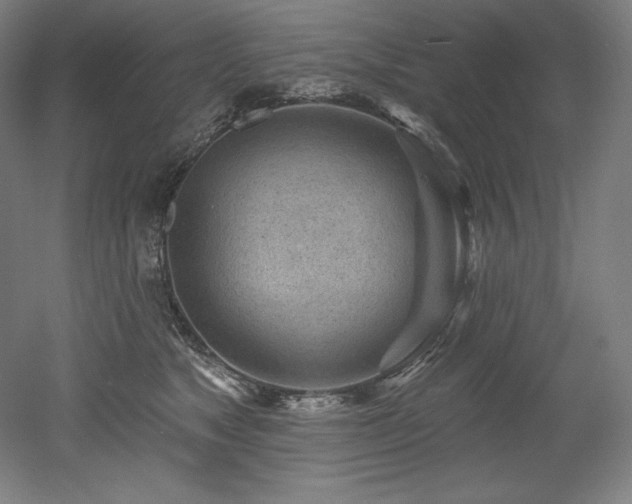 X0000053020517200507081329
