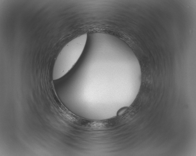 X0000053020518200507081329