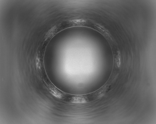 X0000053020520200507081329