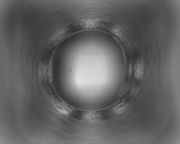 X0000053020521200507081329