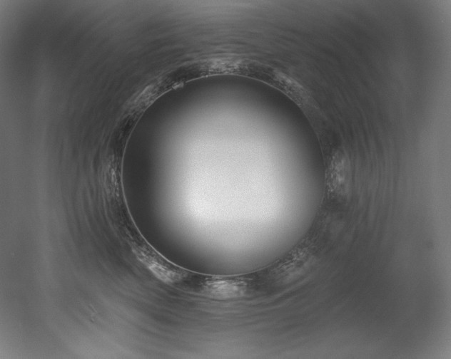 X0000053020522200507081329