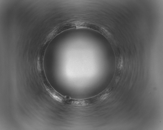 X0000053020524200507081329