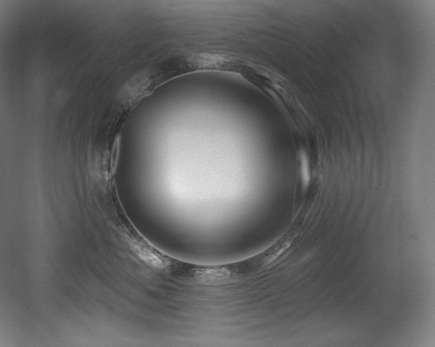 X0000053020525200507081329