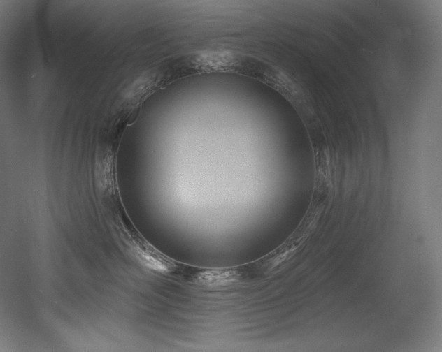 X0000053020526200507081329