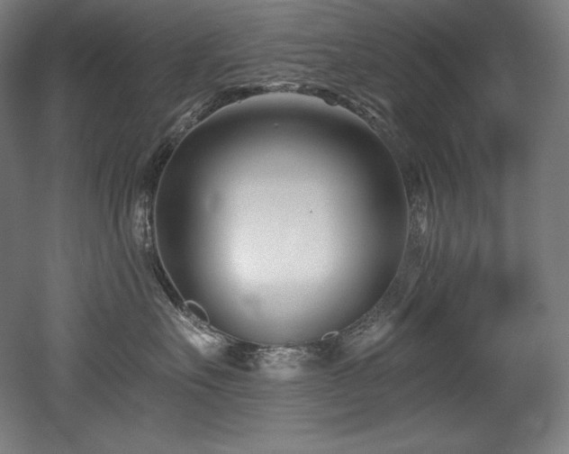 X0000053020527200507081329
