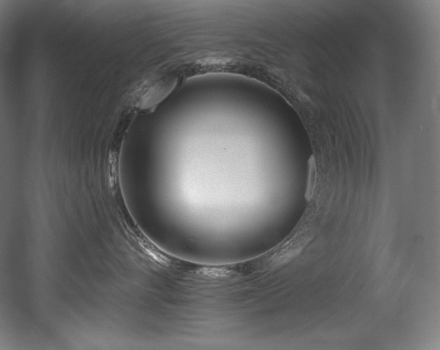 X0000053020528200507081329