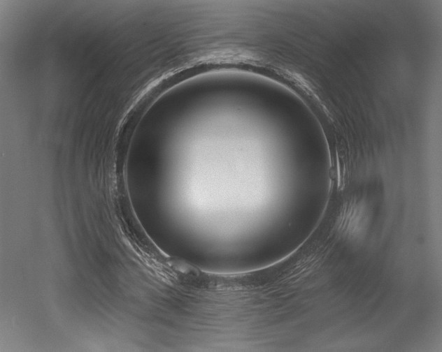 X0000053020531200507081328