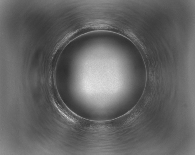 X0000053020533200507081328