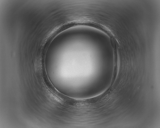 X0000053020535200507081328