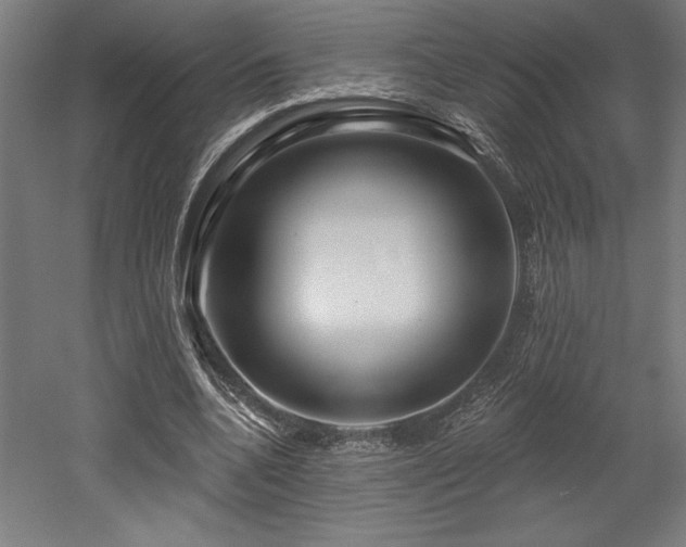 X0000053020536200507081328